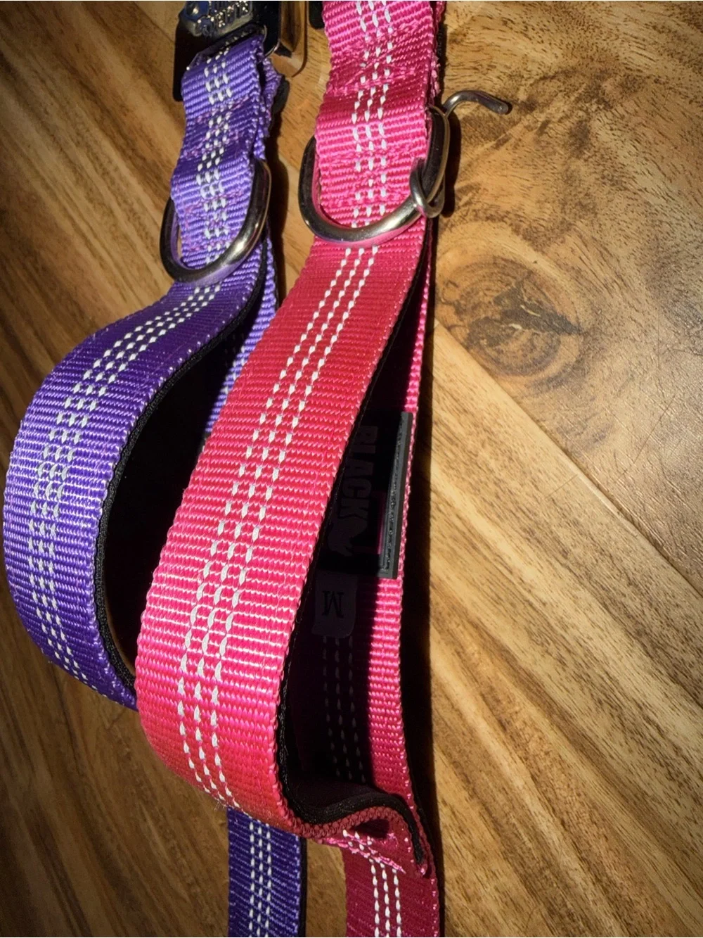 Black Rhino dog collars comfort heavy duty Purple and Pink Collar Set size M